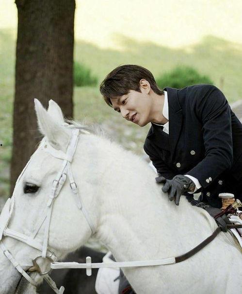 韩国明星骑马,韩国明星骑马风采大赏