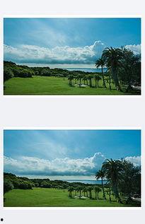 台湾刘子瑄 背景,从文学新星到社会活动家的蜕变之路